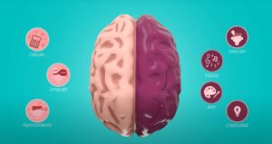 neurociencia y salud cerebral