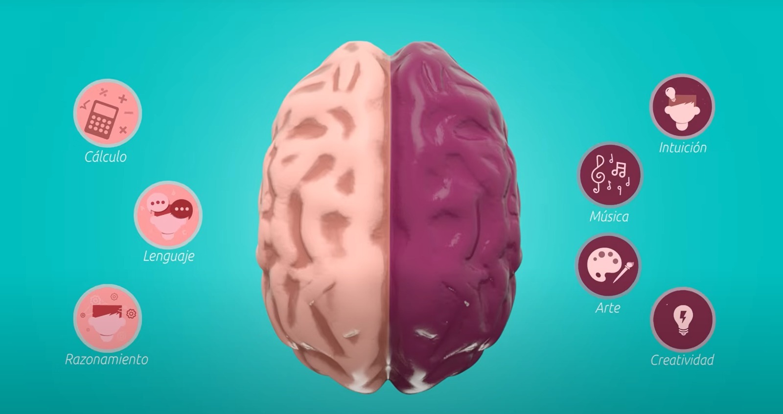 neurociencia y salud cerebral